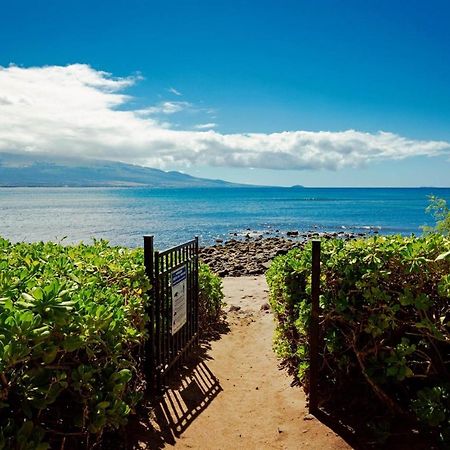 Stunning Maui Direct Ocean Front On The Beach, Walk To Beach From Condo, Watch Turtles, Whales, Ac In All Rooms Ocean View Pool And Spa Wailuku Exteriér fotografie