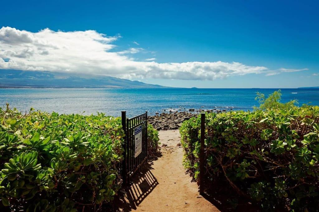 Stunning Maui Direct Ocean Front On The Beach, Walk To Beach From Condo, Watch Turtles, Whales, Ac In All Rooms Ocean View Pool And Spa Wailuku Exteriér fotografie